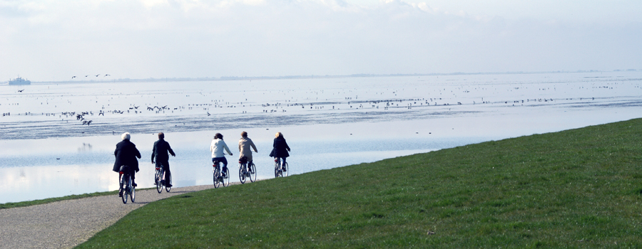 Kiewiet Rijwielverhuur, Kiewiet Fietsenverhuur