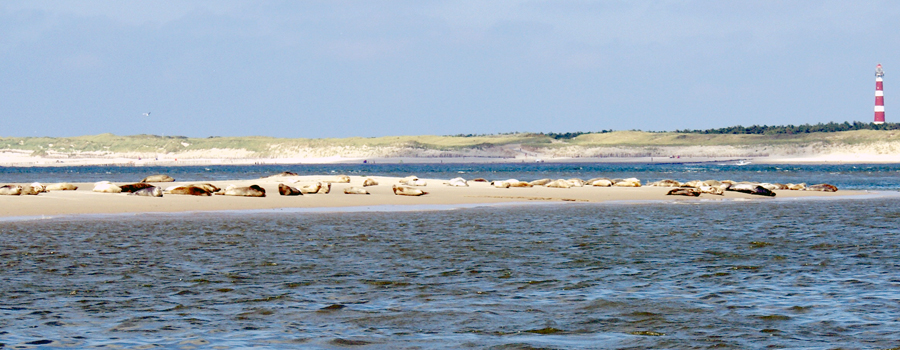 Kiewiet Rijwielverhuur, Kiewiet Fietsenverhuur